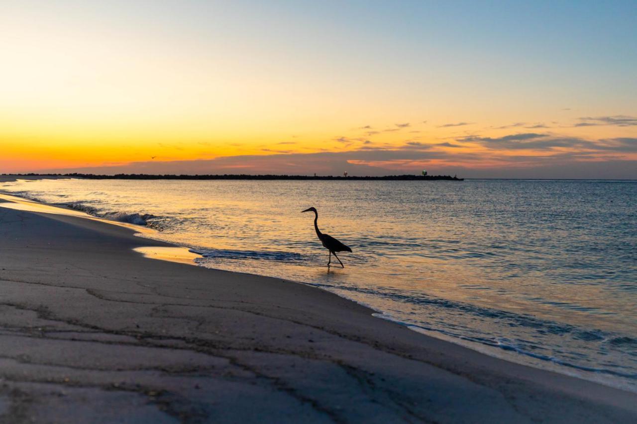 Perdido Beach Resort Orange Beach Buitenkant foto